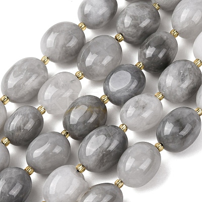 Natural Cloudy Quartz Beads Strands G-G453-D08-01-1
