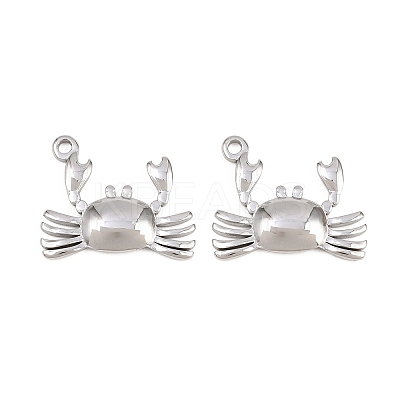 304 Stainless Steel Pendants STAS-L317-23P-1
