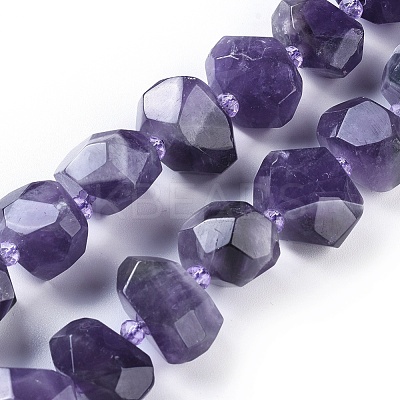 Natural Amethyst Beads Strands G-F653-10-1
