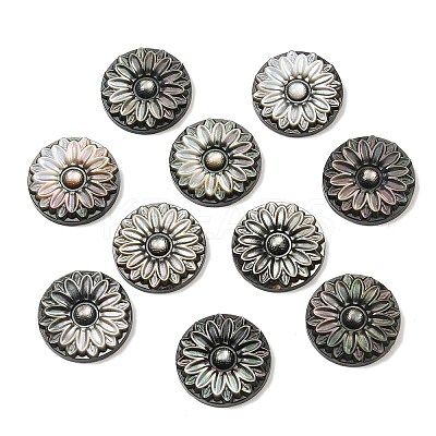 Natural Black Lip Shell Carved Cabochons SSHEL-B006-01B-B-1