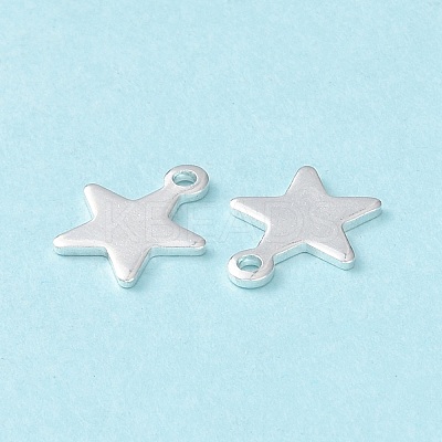 304 Stainless Steel Charms X-STAS-L234-069S-1