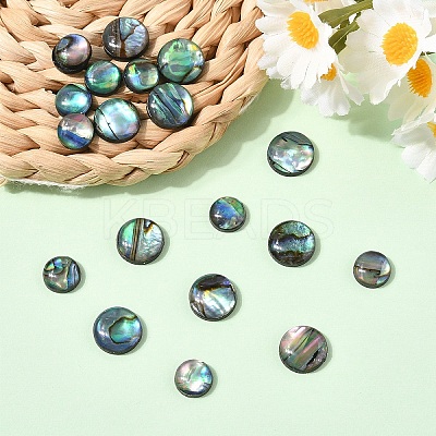 20Pcs 2 Styles Natural Paua Shell Cabochons SHEL-YW0001-09-1