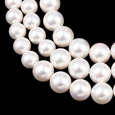 Electroplated Shell Pearl Graduated Beads Strands BSHE-C011-04-1