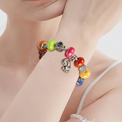 Opaque Acrylic European Beads FIND-CJC0003-66-1