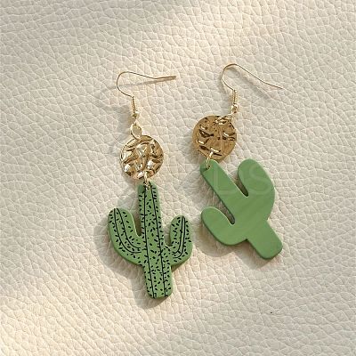 Alloy Acrylic Dangle Earrings FS-WG7F4A0-01-1