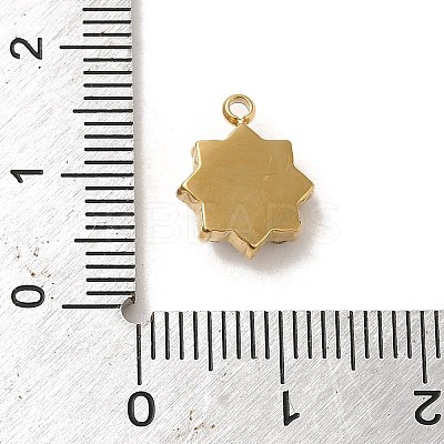 304 Stainless Steel with Crystal Glass Rhinestone Charms STAS-L022-264G-01-1