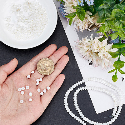2 Strands Natural Freshwater Shell Beads Strands SHEL-NB0001-51-1