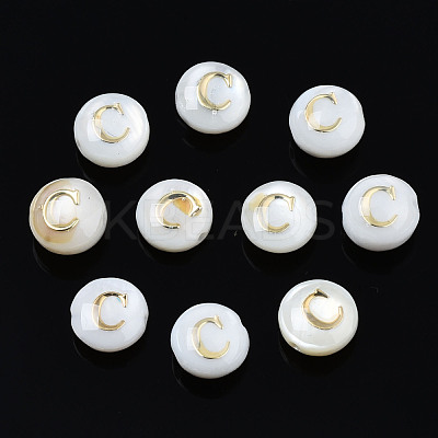 Natural Freshwater Shell Beads SHEL-S278-036C-1