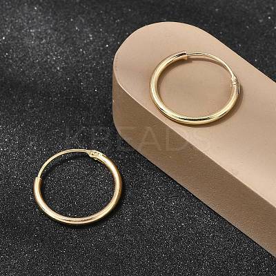 Brass Hoop Earrings EJEW-G474-01G-02-1
