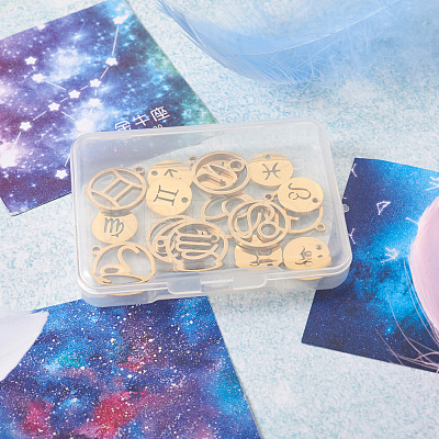 24Pcs 304 Stainless Steel Pendants STAS-TA0001-30G-1