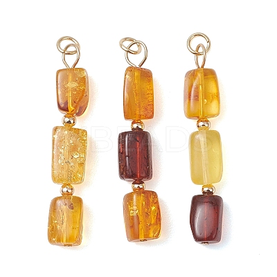 Natural Amber Pendants PALLOY-JF04850-1