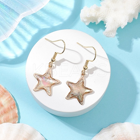 Natural Paua Shell Dangle Earrings EJEW-JE06274-07-1