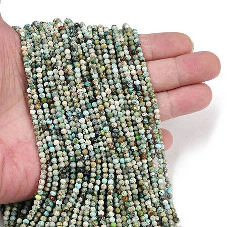Natural HuBei Turquoise Beads Strands LS-G-L628-B02-3mm-01-1