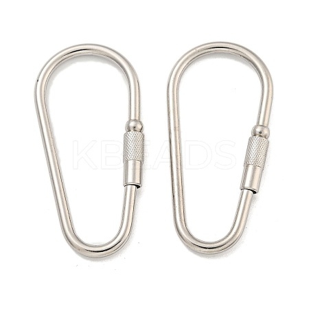 Non-Tarnish 304 Stainless Steel Screw Carabiner Lock Charms LS-STAS-C092-06P-1