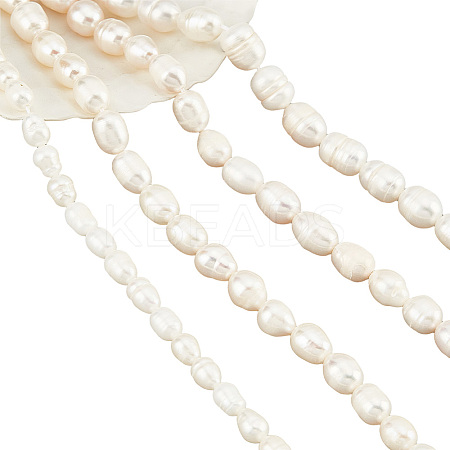  4 Strands 4 Styles Natural Cultured Freshwater Pearl Beads Strands PEAR-NB0001-87-1