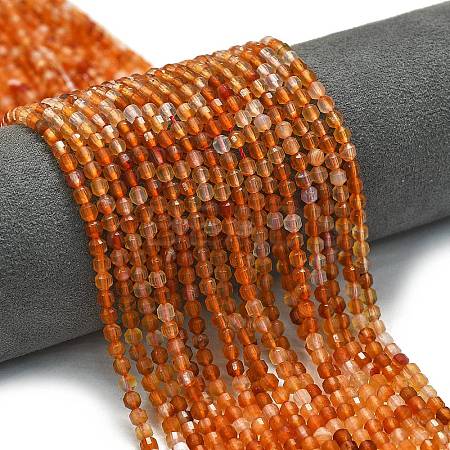 Natural Carnelian Beads Strands G-A260-A20-01-1