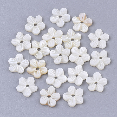 Natural Freshwater Shell Beads SHEL-T017-04-1