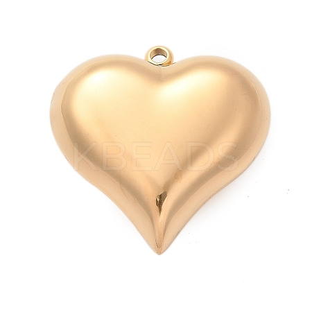 304 Stainless Steel Pendants STAS-Q349-02D-G-1