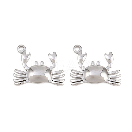 304 Stainless Steel Pendants STAS-L317-23P-1