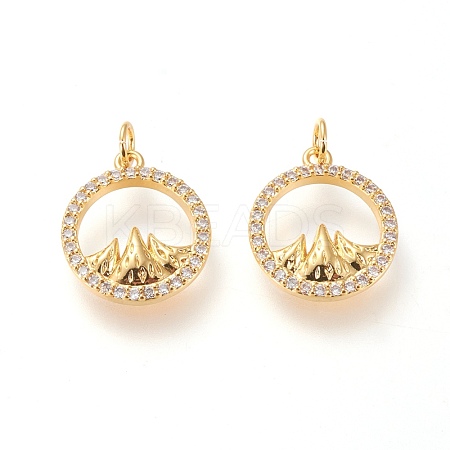 Brass Micro Pave Clear Cubic Zirconia Charms ZIRC-L098-025G-1