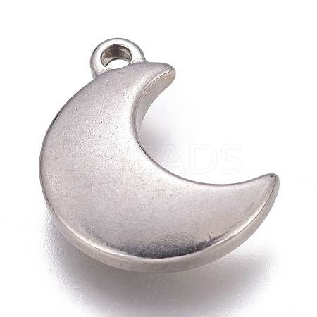 Tarnish Resistant 304 Stainless Steel Charms STAS-H119-04P-1