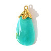 304 Stainless Steel Resin Pendants STAS-OY003-51G-3