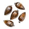 Natural Tiger Iron Pendants GG-K002-16V-1