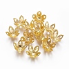 Iron Beads Caps LS-X-IFIN-L030-001G-1