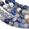 Natural Sodalite Beads Strands GSR4mmC013-7