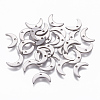 Tarnish Resistant 304 Stainless Steel Charms LS-STAS-L234-073P-1