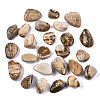 Natural Picture Jasper Beads G-N0326-008-1