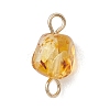 Natural Amber Connector Charms PALLOY-JF05158-3