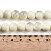 Baking Paint Glass Beads Strands DGLA-N013-10mm-02-4