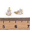 Rack Plating Brass Micro Pave Cubic Zirconia Charms LS-KK-H449-46G-2