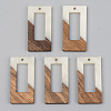 Opaque Resin & Walnut Wood Pendants RESI-S389-057A-C04-1