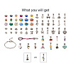 DIY Europen Bracelet Necklace Making Kit DIY-CD0001-46-3