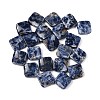 Natural Blue Spot Jasper Beads Strands G-L239-17-3