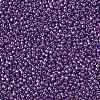 TOHO Round Seed Beads SEED-TR15-0461-2