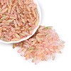 Picasso Transparent Glass Seed Beads SEED-N012-11B-1