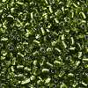 6/0 Glass Seed Beads SEED-A005-4mm-24-3