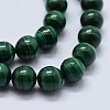 Natural Malachite Beads Strands G-F571-27AA2-12mm-3