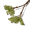 Natural Green Fluorite Braided Bead Pendant Necklacess NJEW-K258-05E-3