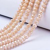 Electroplate Glass Beads Strands LS-EGLA-A034-P10mm-B02-1