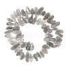 Natural Labradorite Beads Strands G-C273-B01-3