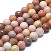 Natural Petrified Wood Round Beads Strands G-D356-C01-8mm-1