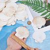 500G Natural Shell Ornaments DJEW-FH0001-35B-3