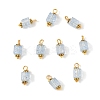 10Pcs Crackle Glass Pendants PALLOY-YW00067-03-1