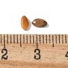 Natural Tiger Eye Cabochons G-Z075-05A-3