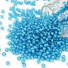 TOHO 8/0 Round Beads SEED-TR08-0931-1