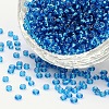 8/0 Glass Seed Beads SEED-US0003-3mm-23B-1